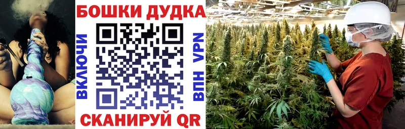 Шишки марихуана OG Kush  наркотики  Болохово 